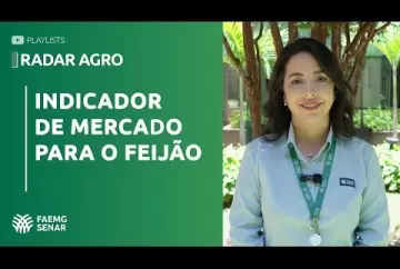 RADAR AGRO | INDICADOR DE MERCADO PARA O FEIJÃO - Sistema Faemg