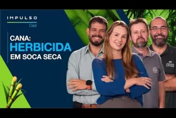 Daninhas: proteja a produtividade do canavial | Impulso Cast - Agro Bayer Brasil