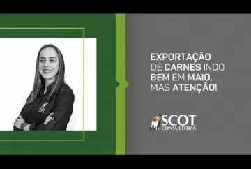 Exportação de carnes indo bem em maio, mas atenção!