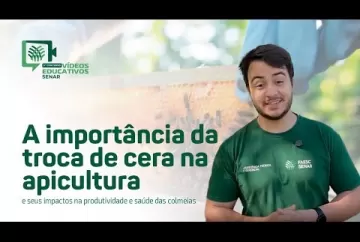 A importância da troca de cera na apicultura e impactos na produtividade - Andrigo Nunes Flores (SC) - Sistema CNA/Senar