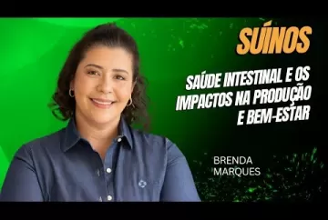 A saúde intestinal e os impactos na produção e bem-estar dos suínos - Agro e Prosa