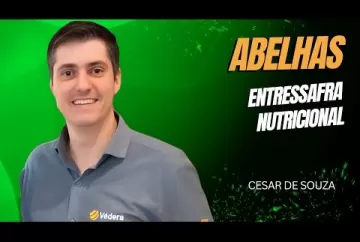 Entressafra nutricional das abelhas - Agro e Prosa