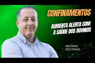 Temporada de confinamento aumenta alerta com a saúde dos bovinos - Agro e Prosa