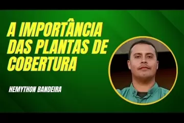 A importância das plantas de cobertura - Agro e Prosa