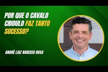 Por que o cavalo Crioulo faz tanto sucesso? - Agro e Prosa