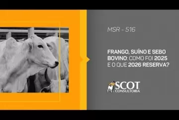 Frango, suíno e sebo bovino: como foi 2025 e o que 2026 reserva Scot Consultoria