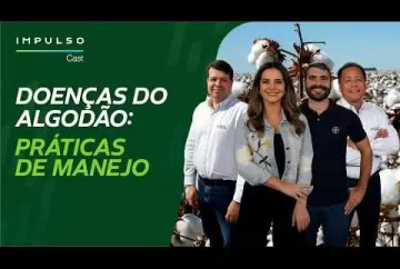Algodão: estratégias eficientes no manejo de doenças | Impulso Cast Agro Bayer Brasil