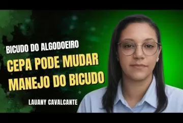 Nova solução biológica mira o bicudo no algodão  Agro e Prosa