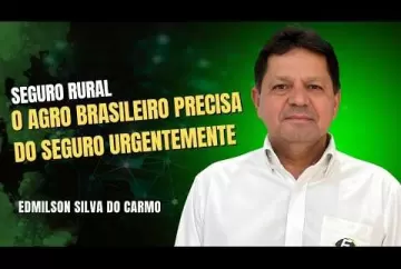 O mercado de seguro rural do Brasil  Agro e Prosa