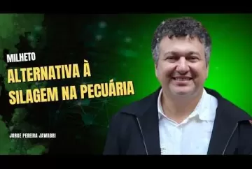 Milheto avança como alternativa à silagem na pecuária  Agro e Prosa 5,63 mil inscritos Agro e Prosa