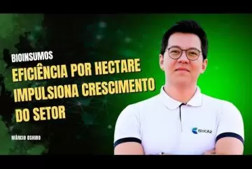 Como o uso de bioinsumos avança nas lavouras brasileiras  Agro e Prosa