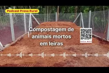 Compostagem de animais mortos em leiras  Embrapa