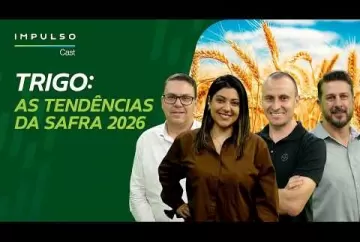 Trigo: as tendências da safra 2026 | Impulso Cast Agro Bayer Brasil