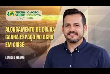 Alongamento de dívida ganha espaço no agro em crise  Agro e Prosa