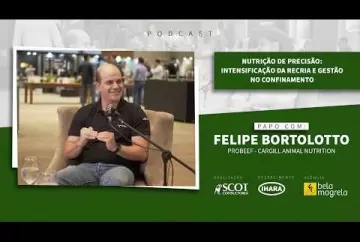 Nutrição de precisão: intensificação da recria e gestão no confinamento  Scot Consultoria