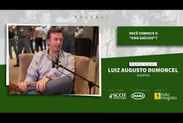 Você conhece o "DDG gaúcho"?  Scot Consultoria