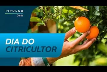 Dia do Citricultor: do pomar para o mundo | Impulso Gente Bayer Brasil Agro Bayer Brasil