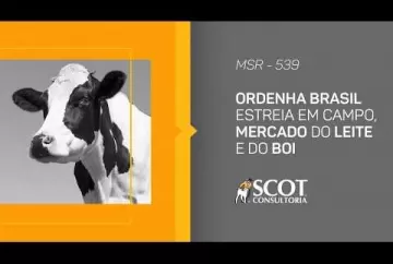 Ordenha Brasil estreia em campo, mercado do leite e do boi