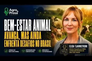 Bem-estar animal avança, mas ainda enfrenta desafios no Brasil Agro e Prosa Agro e Prosa
