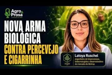 Nova arma biológica contra percevejo e cigarrinha Agro e Prosa