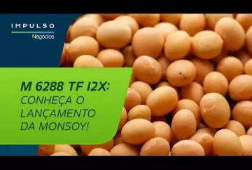 Monsoy: novas tecnologias para soja | Impulso Negócios Agro Bayer Brasil
