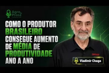 Como o produtor brasileiro consegue aumento de produtividade ano a ano Agro e Prosa