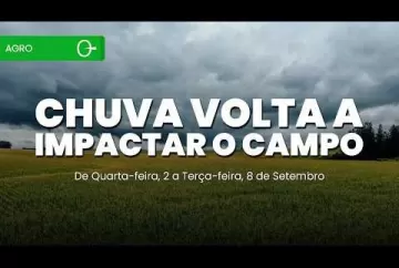 Chuva muda o ritmo da safra e milho chega a 94,1% colhido Climatempo