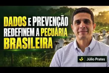 Dados e prevenção redefinem a pecuária brasileira Agro e Prosa