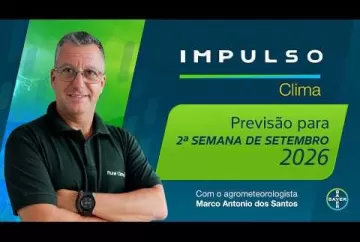 Chuva irregular exige cautela no plantio | Impulso Clima Agro Bayer Brasil