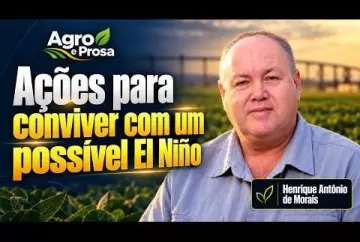 El Niño: manejo do solo pode reduzir perdas nas lavouras Agro e Prosa