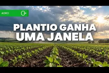 Frente fria favorece geada e muda o plantio no Sul Climatempo