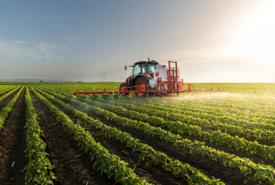 Capa do artigo: Uso intensivo de inseticidas ameaça polinizadores e reforça necessidade de boas práticas no campo