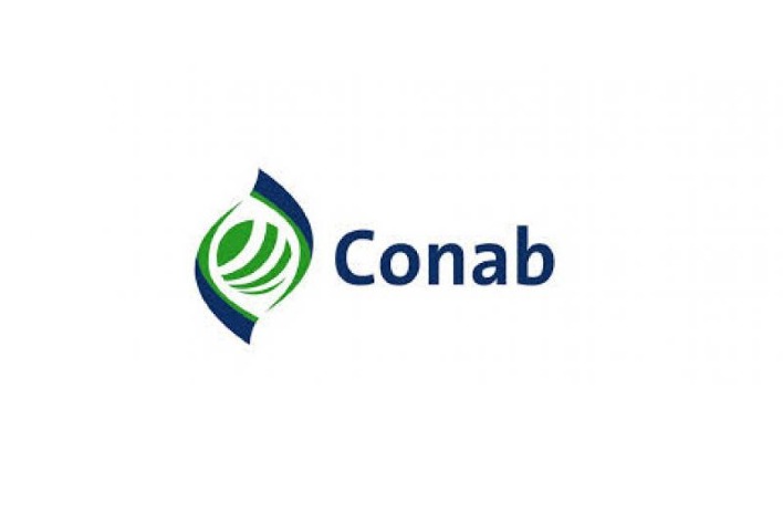 Conab mostra políticas públicas da sociobiodiversidade como vetor de ...