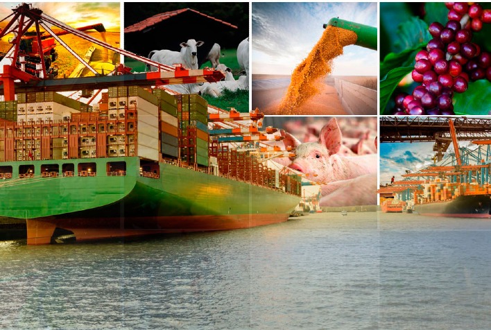 Exportações do Agronegócio Brasileiro em 2024: Recordes e Desafios