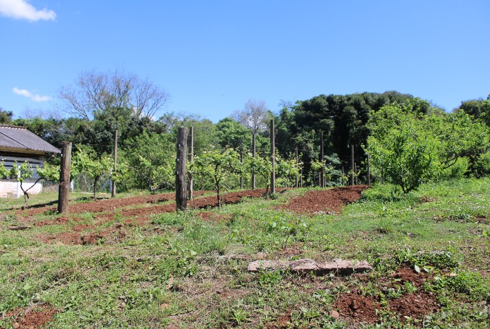 Contratos de Arrendamento e Parceria Rural: diferenças e pontos de atenção para o produtor