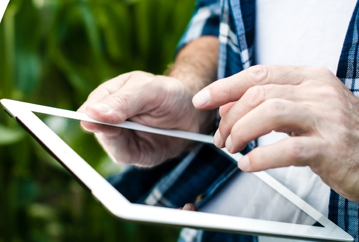 Inteligência artificial revoluciona pesquisas agrícolas e reduz custos no setor