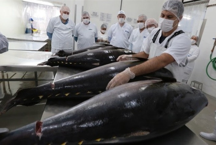 Brasil lança rastreabilidade digital de atum para atender mercados internacionais