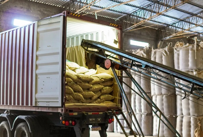 Exportações de Café do Brasil Apresentam Crescimento na Receita, Mas Enfrentam Queda no Volume Exportado em Março de 2025