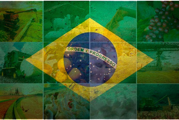 Tarifas americanas reacendem tensões comerciais e criam oportunidades ao agro brasileiro