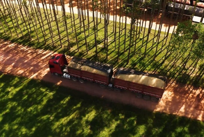 Conab aponta recuo nos preços do frete com encerramento da colheita da soja