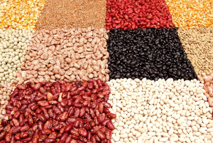 Mercado do Feijão Segue Estagnado com Baixa Liquidez e Pressão Sobre Produtores