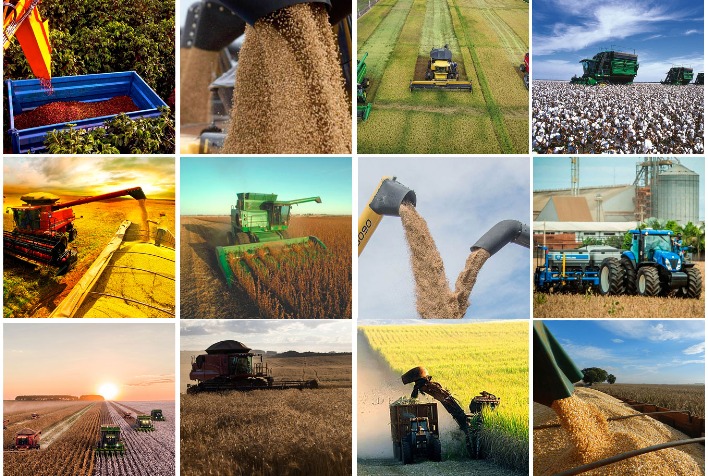 Conab projeta safra recorde de grãos em 2024/25 com crescimento de soja, milho e arroz