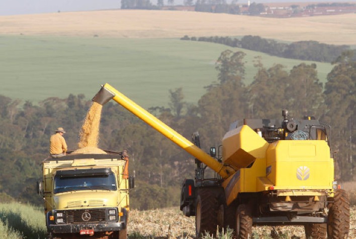 Paraná projeta safra histórica de milho 2024/25 mesmo com desafios climáticos
