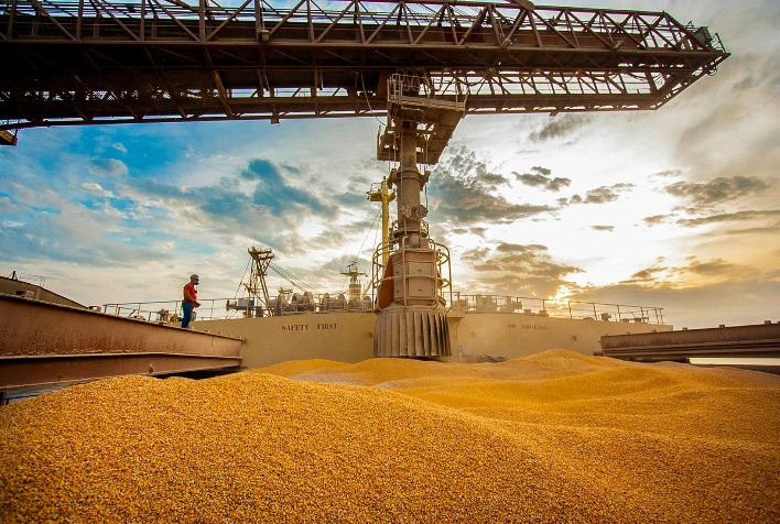 Exportações de milho do Brasil têm queda de 99% no início de junho em comparação a 2024