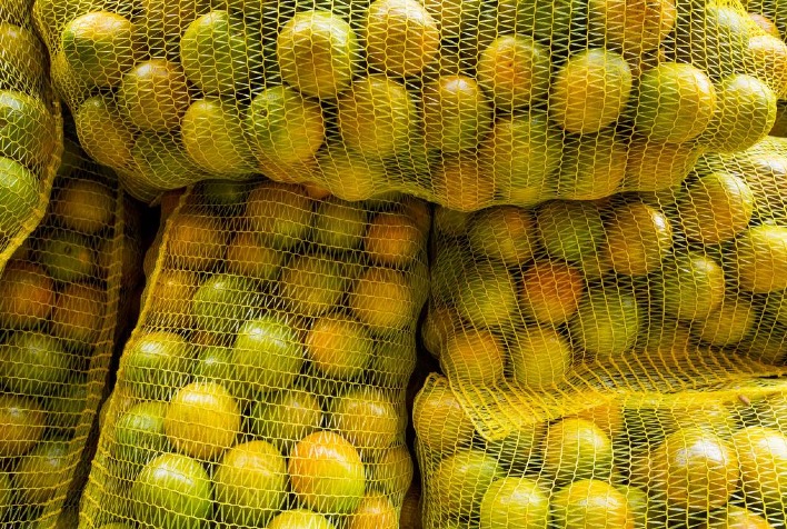 Preços da laranja caem 20% em junho, aponta levantamento do Cepea