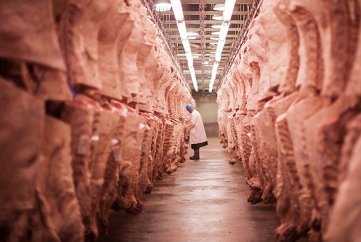 Exportações de carne bovina crescem em valor e volume na primeira semana de julho