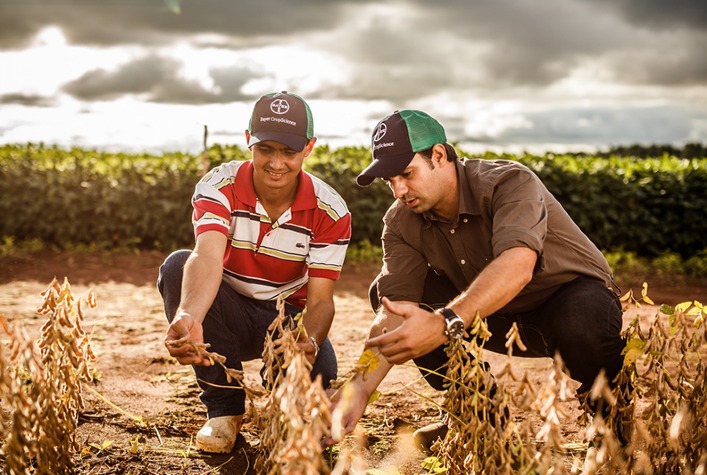 Estudo do CEPEA/ABIOVE revela tendências do mercado de trabalho na cadeia da soja e do biodiesel