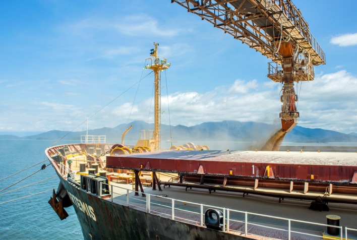 Exportações brasileiras de soja crescem em setembro, mas milho perde espaço, aponta Anec