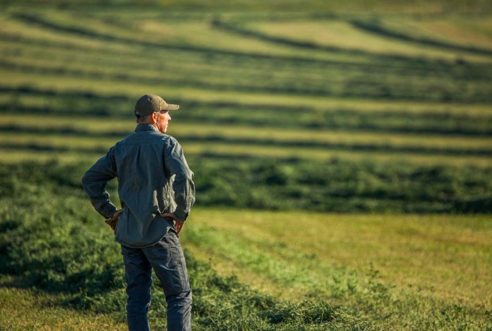 Seguro Rural: Entenda a importância da Due Diligence para proteger o investimento no campo