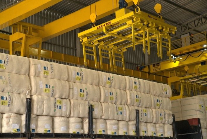 Exportações de algodão ganham força e podem ultrapassar 300 mil toneladas em outubro
